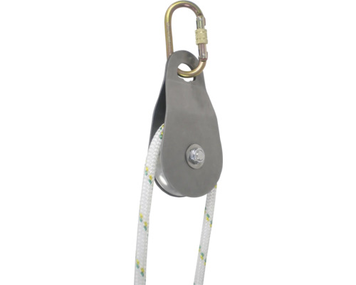Seilrolle mit Karabiner und Seil