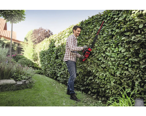 Ein Mann beschneidet mit einer Heckenschere eine Hecke in einem Garten.