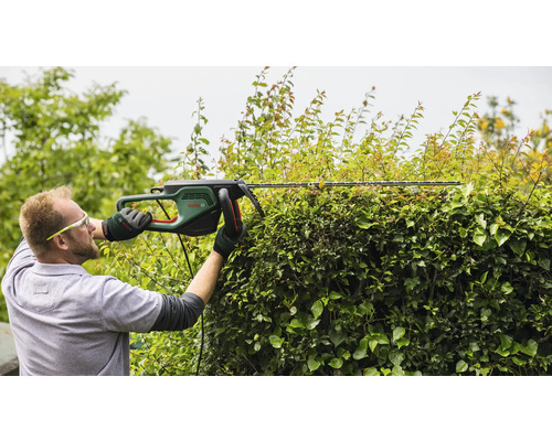 Mann schneidet Hecke mit einer Heckenschere