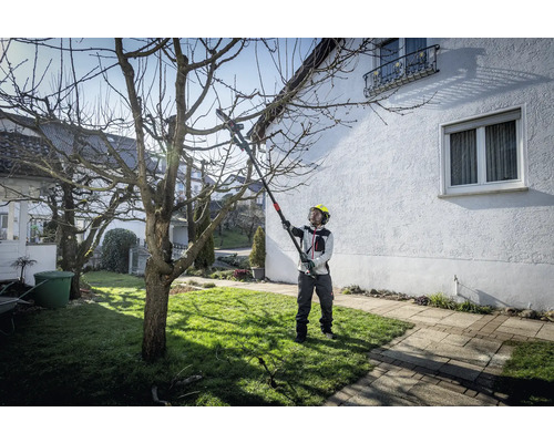 Eine Person benutzt eine Hochentaster Kettensäge zum Beschneiden eines Baumes in einem Garten.