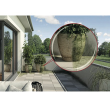 Terrasse mit Pflanzen in Pflanzgefäßen