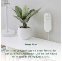 Smarte Sirene an der Wand neben Topfpflanze