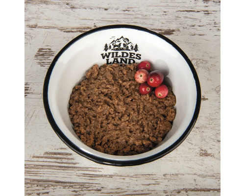 Hundenassfutter in einer Schüssel mit Preiselbeeren garniert