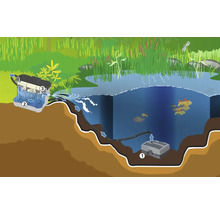 Illustration eines Gartenteichs mit Teichpumpe und Filteranlage zur Wasserreinigung