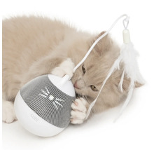 Katze spielt mit interaktivem Katzenspielzeug von Catit mit Feder