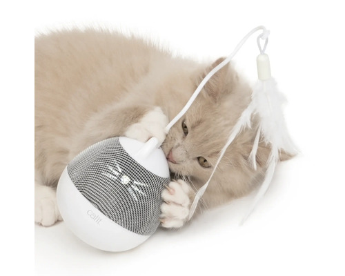 Katze spielt mit interaktivem Katzenspielzeug von Catit mit Feder