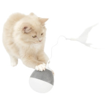 Katze spielt mit Katzenspielzeug mit Feder