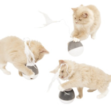 Drei Katzen spielen mit einem Spielzeugball mit Feder