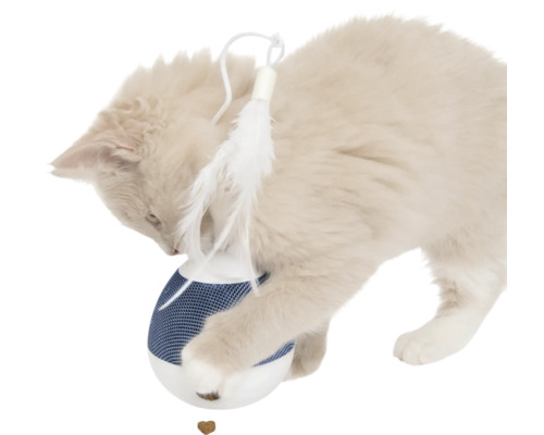 Katze spielt mit interaktivem Katzenspielzeug mit Feder