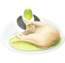 Katze ruht auf einem interaktiven Katzenspielzeug mit Massageelementen und Kratzbürste
