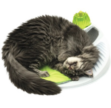 Katze liegt auf interaktivem Katzenspielzeug.