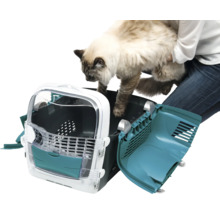 Katze wird in eine offene Transportbox gesetzt