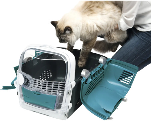 Katze wird in eine offene Transportbox gesetzt