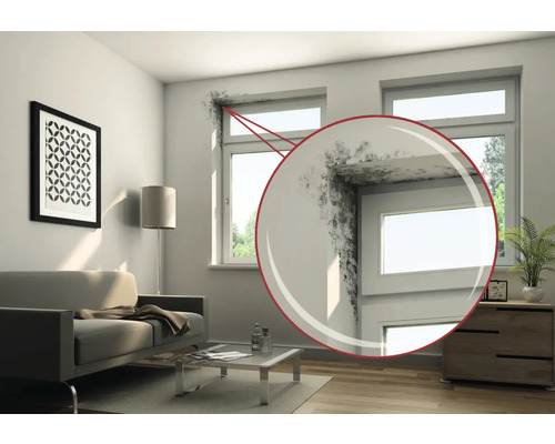 Wohnzimmer mit Schimmelbildung an der Wand und am Fensterrahmen