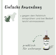 yeaVet WundEx Spray zur einfachen Anwendung für unterwegs bei Hunden und Katzen