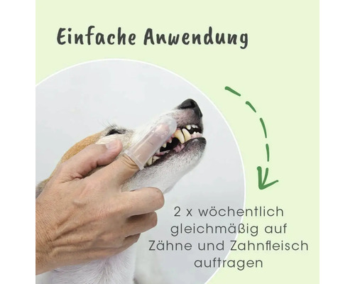 Anwendung einer Fingerzahnbürste zur Reinigung der Zähne eines Hundes.