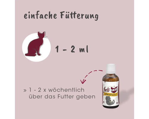 Darstellung der einfachen Fütterung mit Darmkur für Katzen