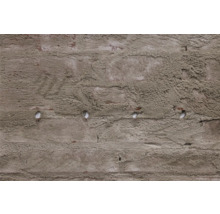 Detailaufnahme einer verputzten Ziegelwand mit sichtbaren Dübeln