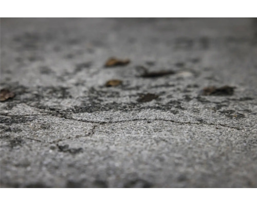 Nahaufnahme einer Betonoberfläche mit Rissen und einigen Blättern.