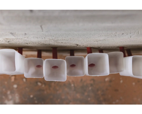 Mehrere an der Decke montierte Belüftungsrohre