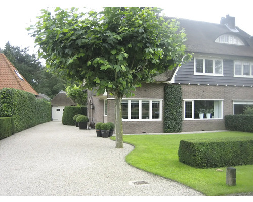 Bild 6 von 11