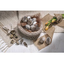 Dekorative Ostereier in einem Korb mit Federn, Tulpen und Wachteleiern