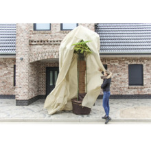 Pflanzenschutzhaube für Palme mit Frau vor Haus