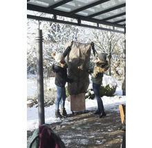 Zwei Personen verpacken eine Pflanze mit einer Schutzhülle für den Winter