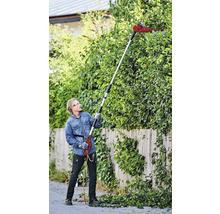 Eine Person beschneidet eine Hecke mit einer elektrischen Heckenschere mit Teleskopstiel.