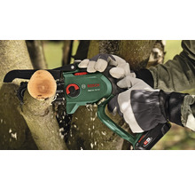 Bosch Logo. Eine Akku-Kettensäge schneidet einen Ast.