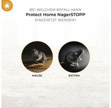 Information darüber, bei welchem Befall Protect Home Nagerstopp eingesetzt werden kann: Mäuse und Ratten.