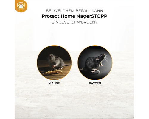 Information darüber, bei welchem Befall Protect Home Nagerstopp eingesetzt werden kann: Mäuse und Ratten.
