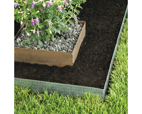 Gartenszene mit Rasenkante, Pflanze und Steinen