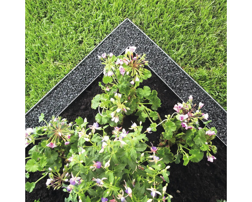 Beeteinfassung mit Blumenbeet und Rasenfläche