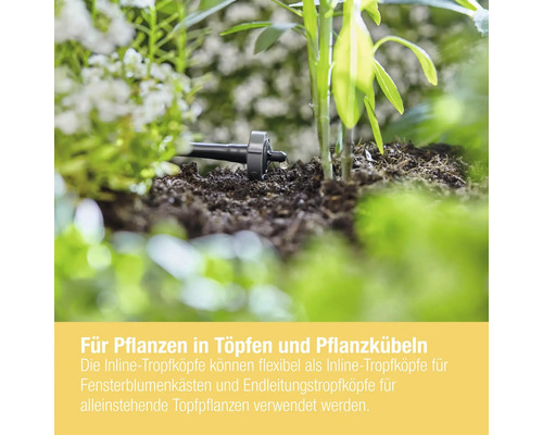 Tropfbewässerung im Garten mit Pflanzen und Erde