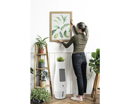 Frau hängt Bild mit Pflanzenmotiven im Holzrahmen an der Wand, Raumkühler mit Pflanzenaufsatz im Vordergrund.