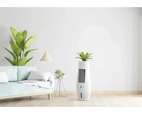 Innenraum mit Sofa, Beistelltisch und Luftkühler mit Pflanze