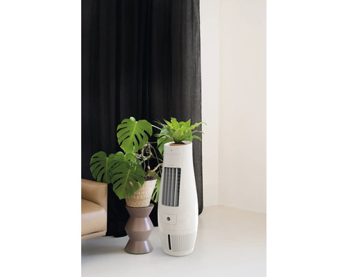 Raumszene mit einem Luftkühler, der gleichzeitig als Pflanzengefäß dient.