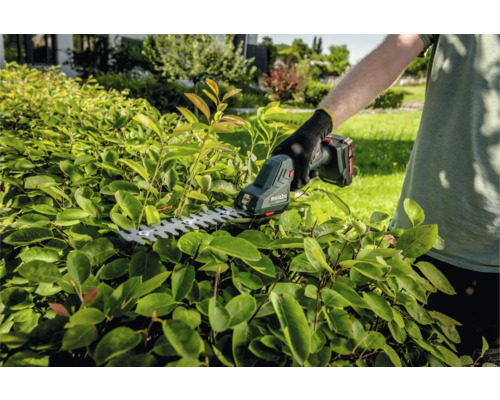 Gärtner schneidet Hecke mit Akku-Heckenschere
