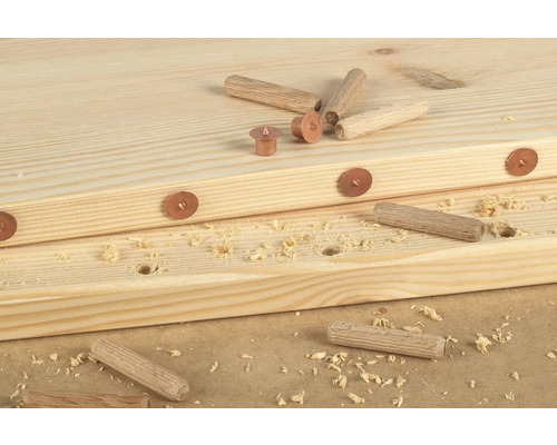 Holzdübel und Spreizstifte auf Werkstücken