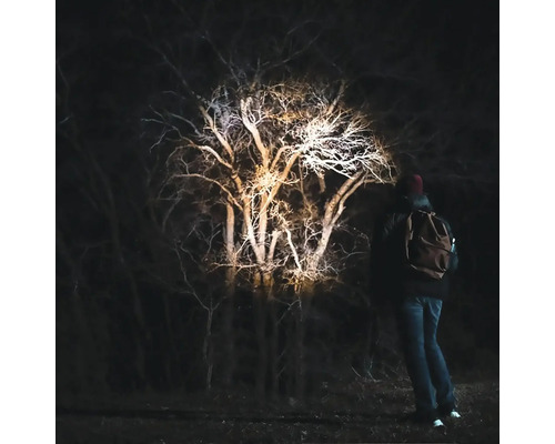 Person mit Rucksack beleuchtet Baum im Dunkeln