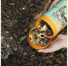 Schildkrötenfutter JBL PROTERRA FLORSIL Hauptfutter mit Blüten für alle Landschildkröten 250 ml