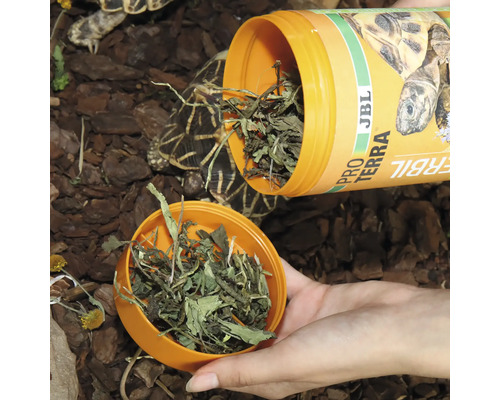 JBL Pro Terra Herbyl Schildkrötenfutter wird in einen Deckel gefüllt