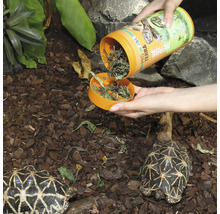 Schildkrötenfutter JBL PROTERRA HERBIL Pflanzliches Alleinfutter für alle Landschildkröten 1000 ml