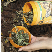 Schildkrötenfutter JBL PROTERRA HERBIL Pflanzliches Alleinfutter für alle Landschildkröten 1000 ml