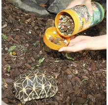 Schildkrötenfutter JBL PROTERRA VEGABIL Hauptfutter mit Gemüse für alle Landschildkröten 1000 ml