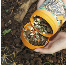 Schildkrötenfutter JBL PROTERRA VEGABIL Hauptfutter mit Gemüse für alle Landschildkröten 1000 ml
