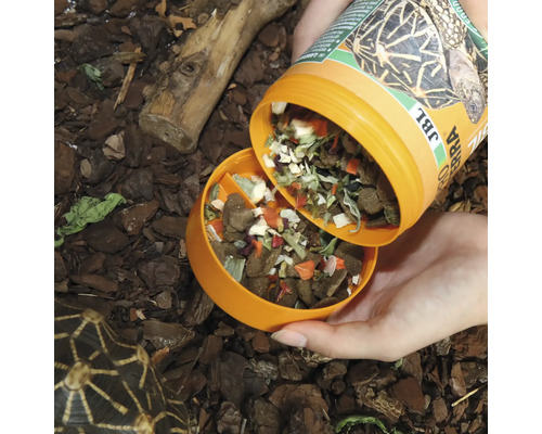 JBL Logo. JBL Terra Testudo Futter für Landschildkröten wird in eine Futterschale gegossen.