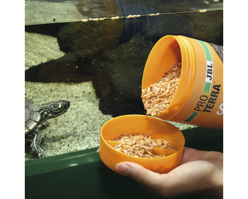 Futtergabe für eine Wasserschildkröte mit JBL Pro Terra Futter