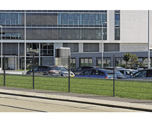 Doppelstabmattenzaun vor einem Bürogebäude und einem Parkplatz.